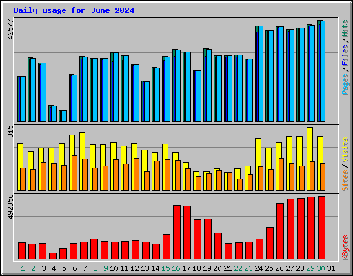 Daily usage for June 2024