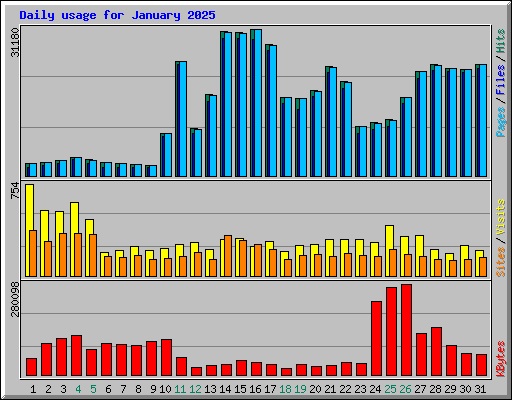 Daily usage for January 2025