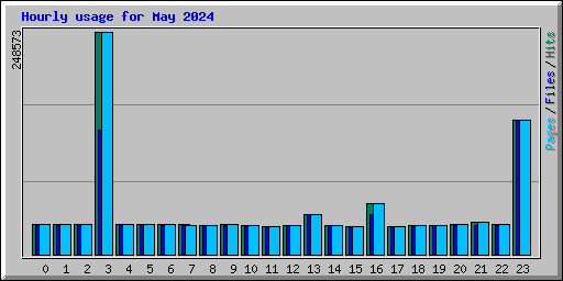 Hourly usage for May 2024