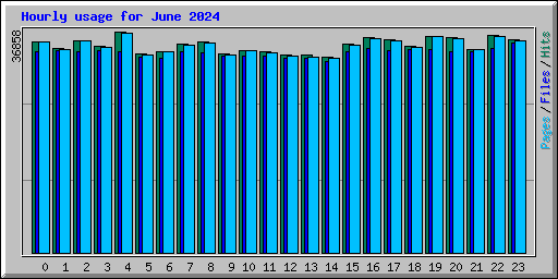 Hourly usage for June 2024