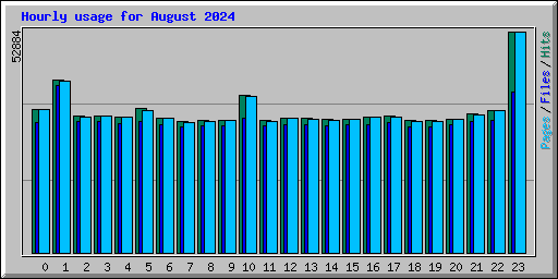 Hourly usage for August 2024