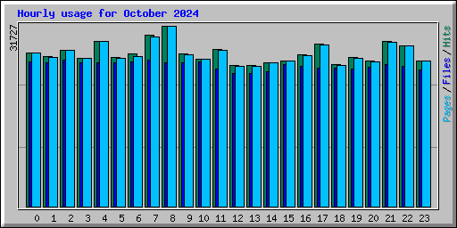 Hourly usage for October 2024