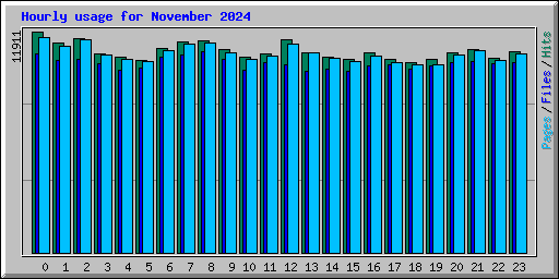 Hourly usage for November 2024