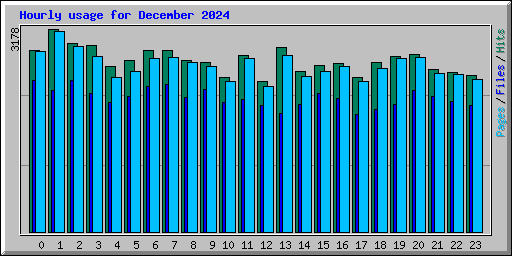 Hourly usage for December 2024