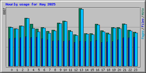 Hourly usage for May 2025