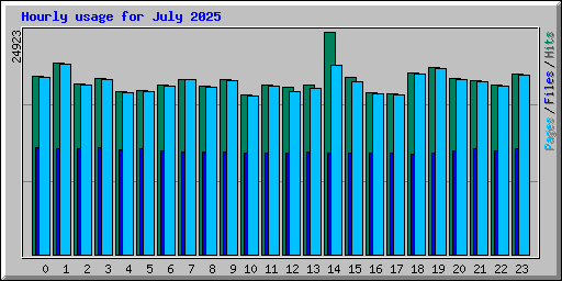 Hourly usage for July 2025