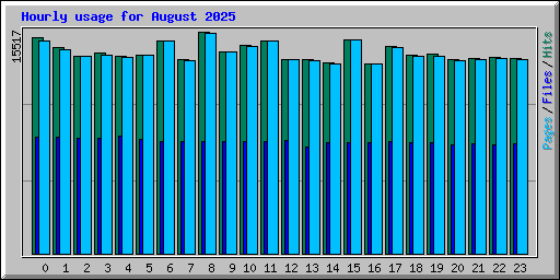 Hourly usage for August 2025